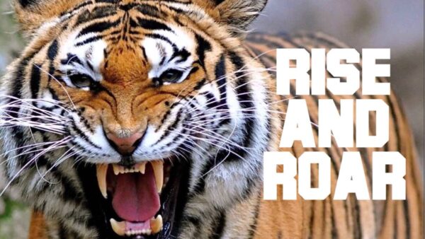 Rise And Roar