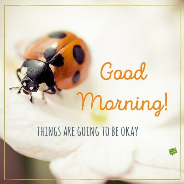 Things Are Going To Be Okay Good Morning Ladybug