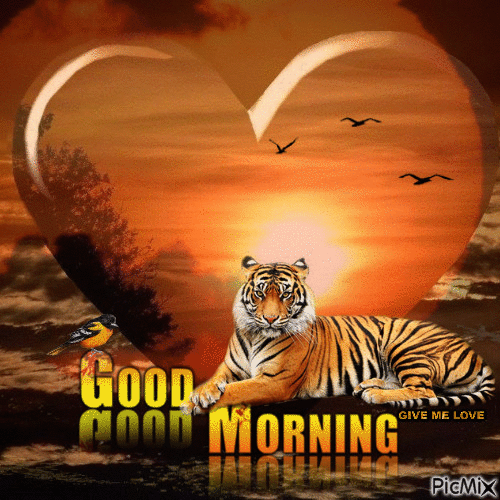 Tiger Good Morning Gif