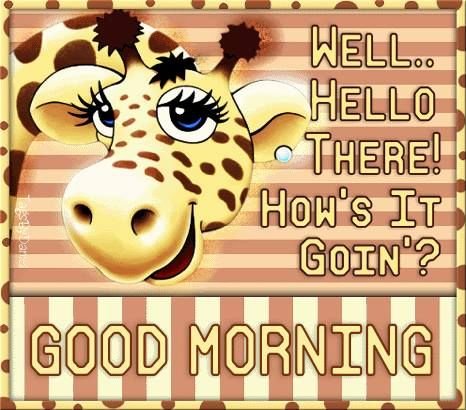 Well Hello There How S It Going Good Morning
