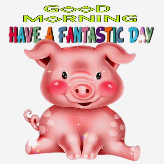 Wonderful Good Morning Piggy