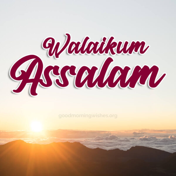 Lovely Good Morning Walaikum Assalam Pics