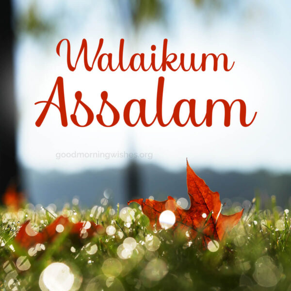Outstanding Good Morning Walaikum Assalam Picture