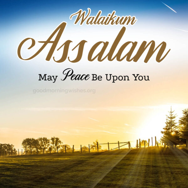 Wonderful Good Morning Walaikum Assalam
