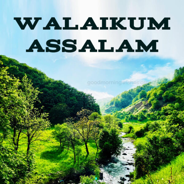 Wonderful Good Morning Walaikum Assalam Image